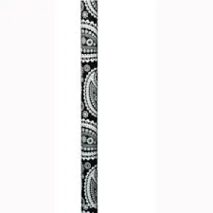 AC54DT-54"-Paisley Show Stick Designer Trend