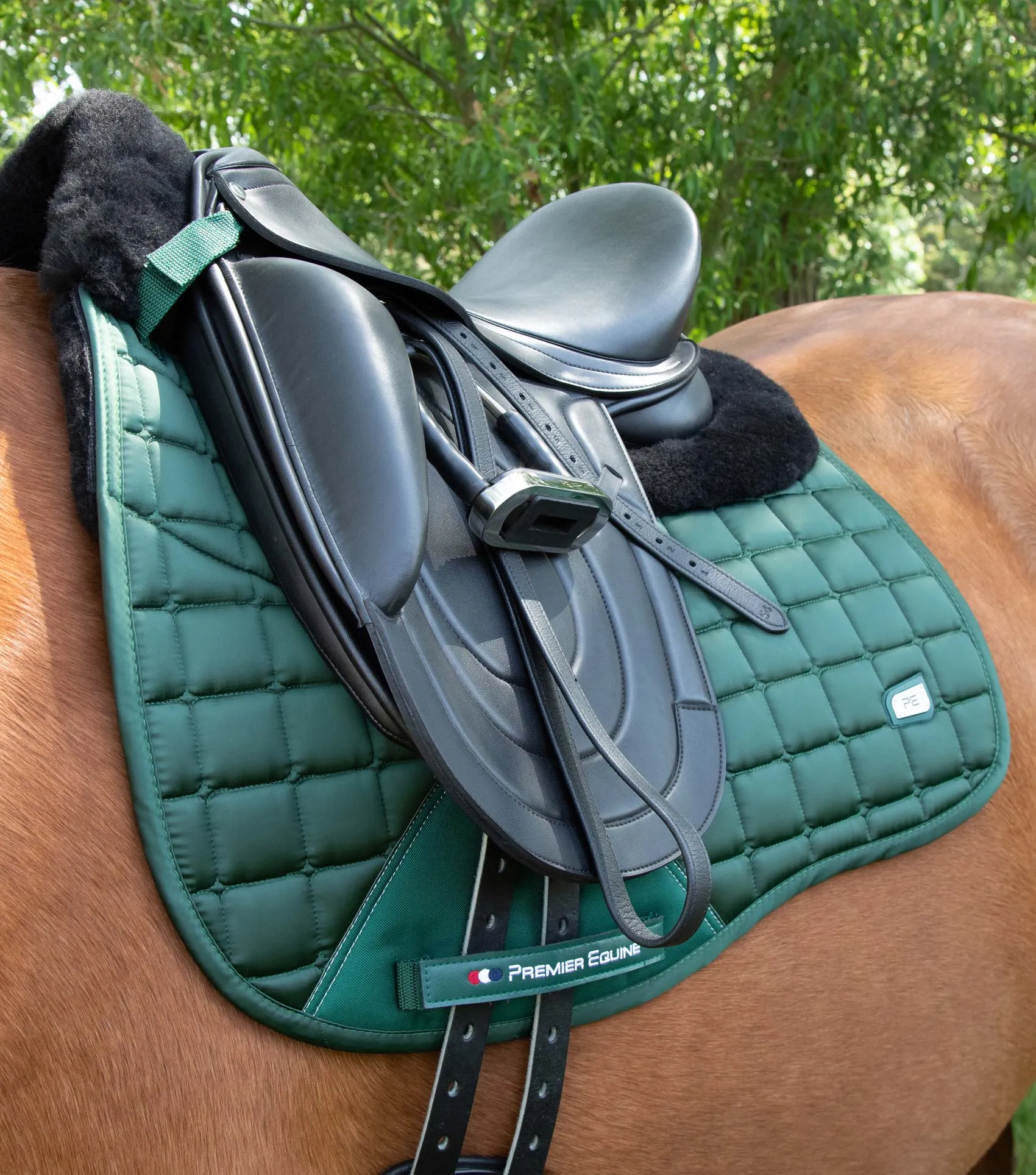 Atlantis CC Satin Wool Dressage Square Olive/Black Wool