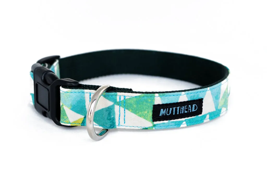 Buckle Dog Collar in Chia (green)
