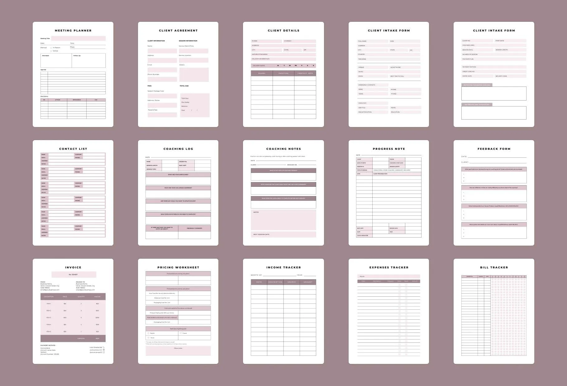 Coaching Business Planner Canva Template