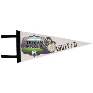 Color Pennant Flag