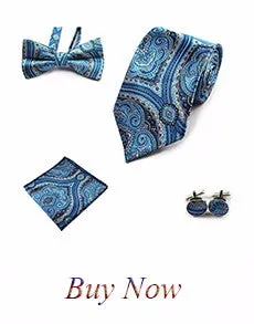Holiday Paisley Derick Malone Silk Tie