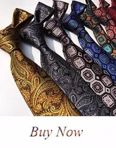 Holiday Paisley Derick Malone Silk Tie