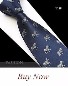 Holiday Paisley Derick Malone Silk Tie