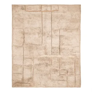 Irrigation Plan - luxury beni mrirt rug