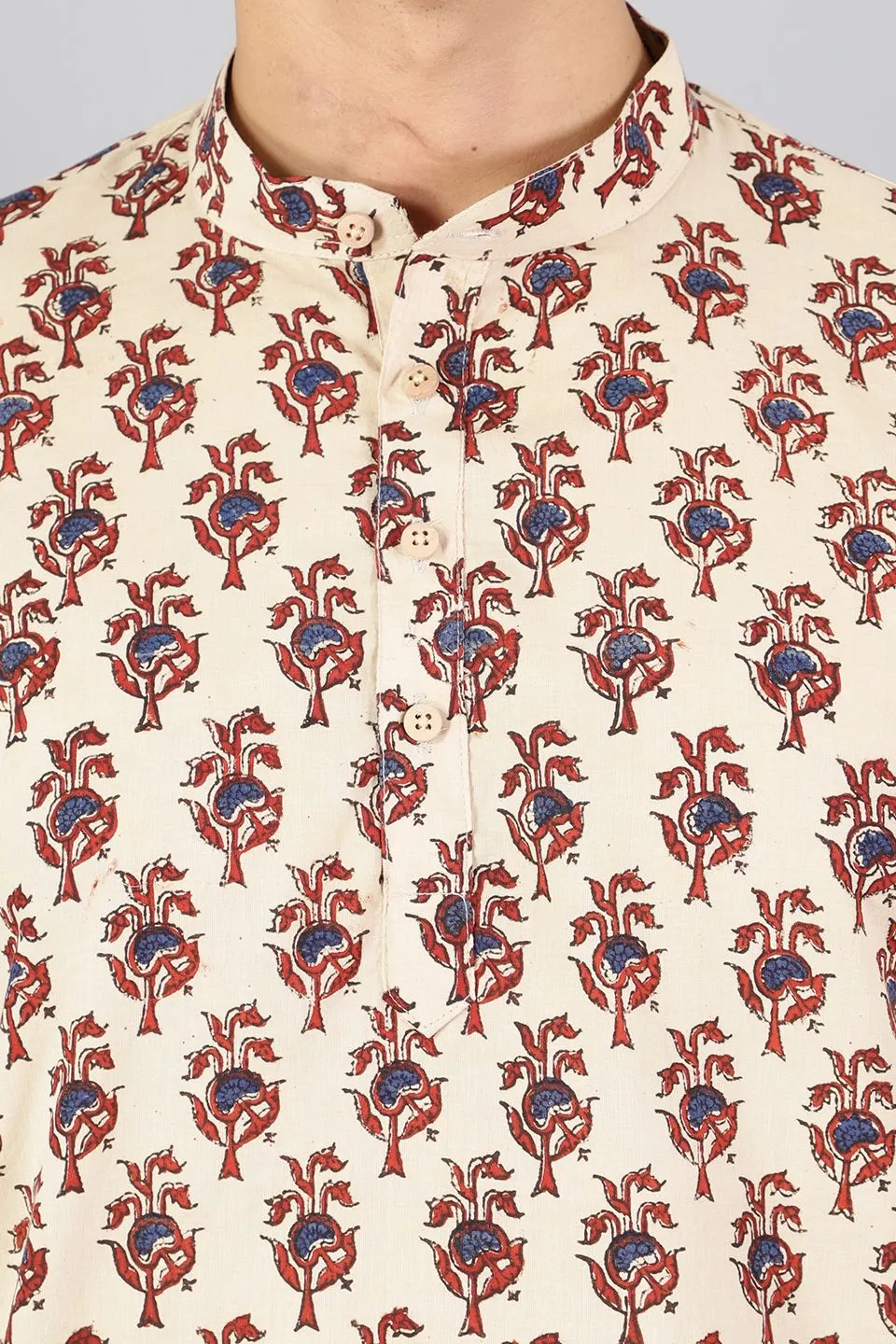 Jaipur 100%  Cotton Multicolored Kurta Shirt