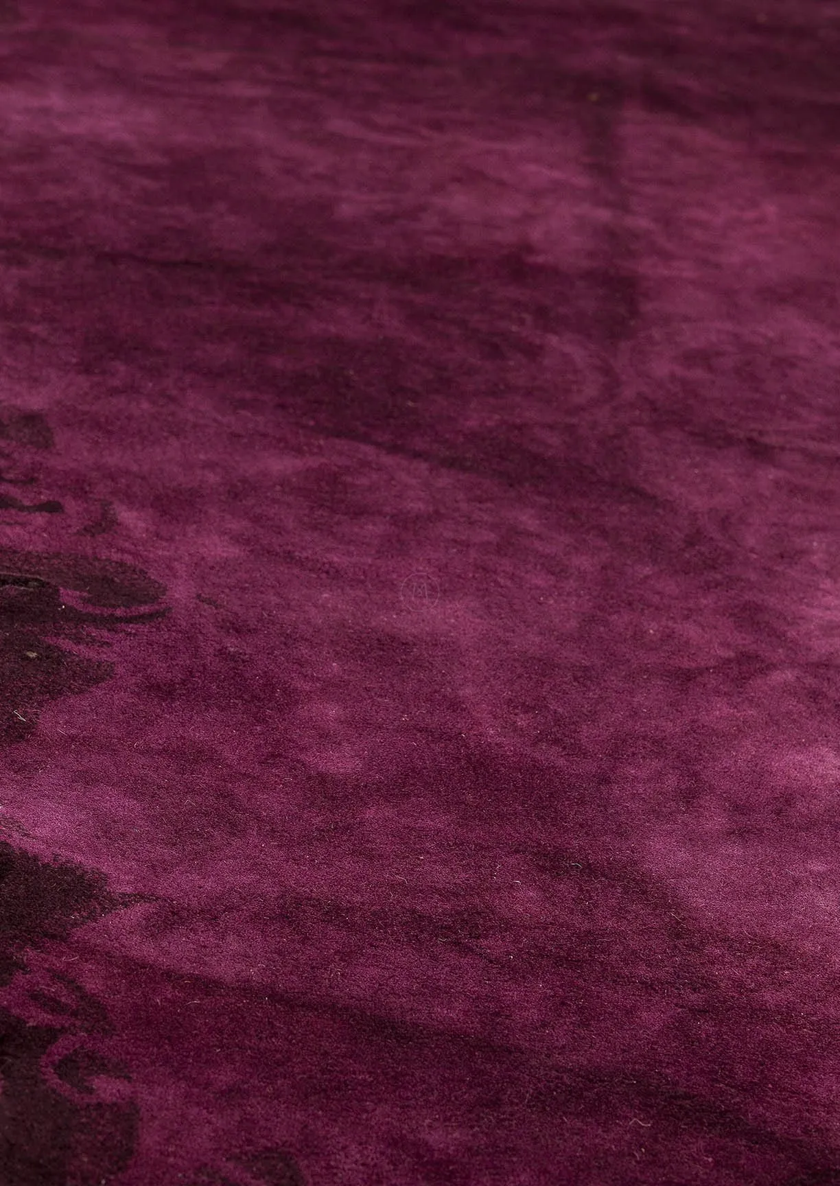 Jalwa 2 Purple
