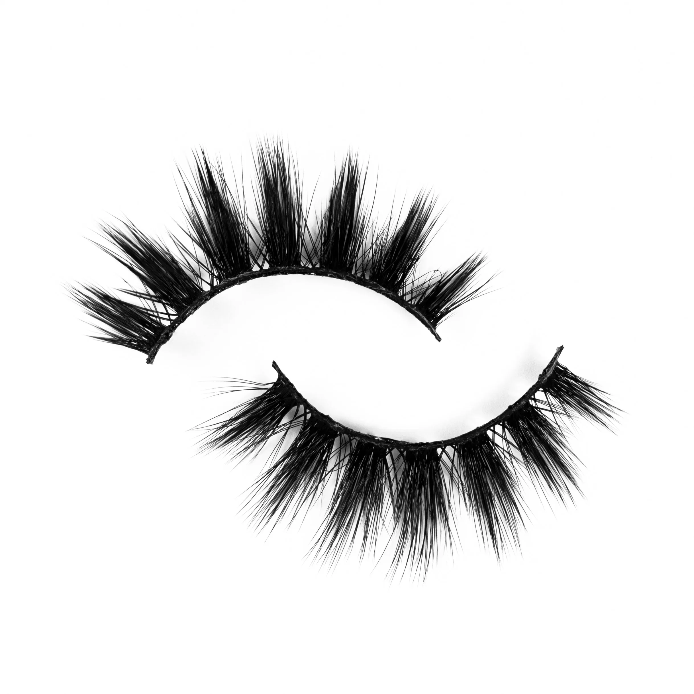 Lolita