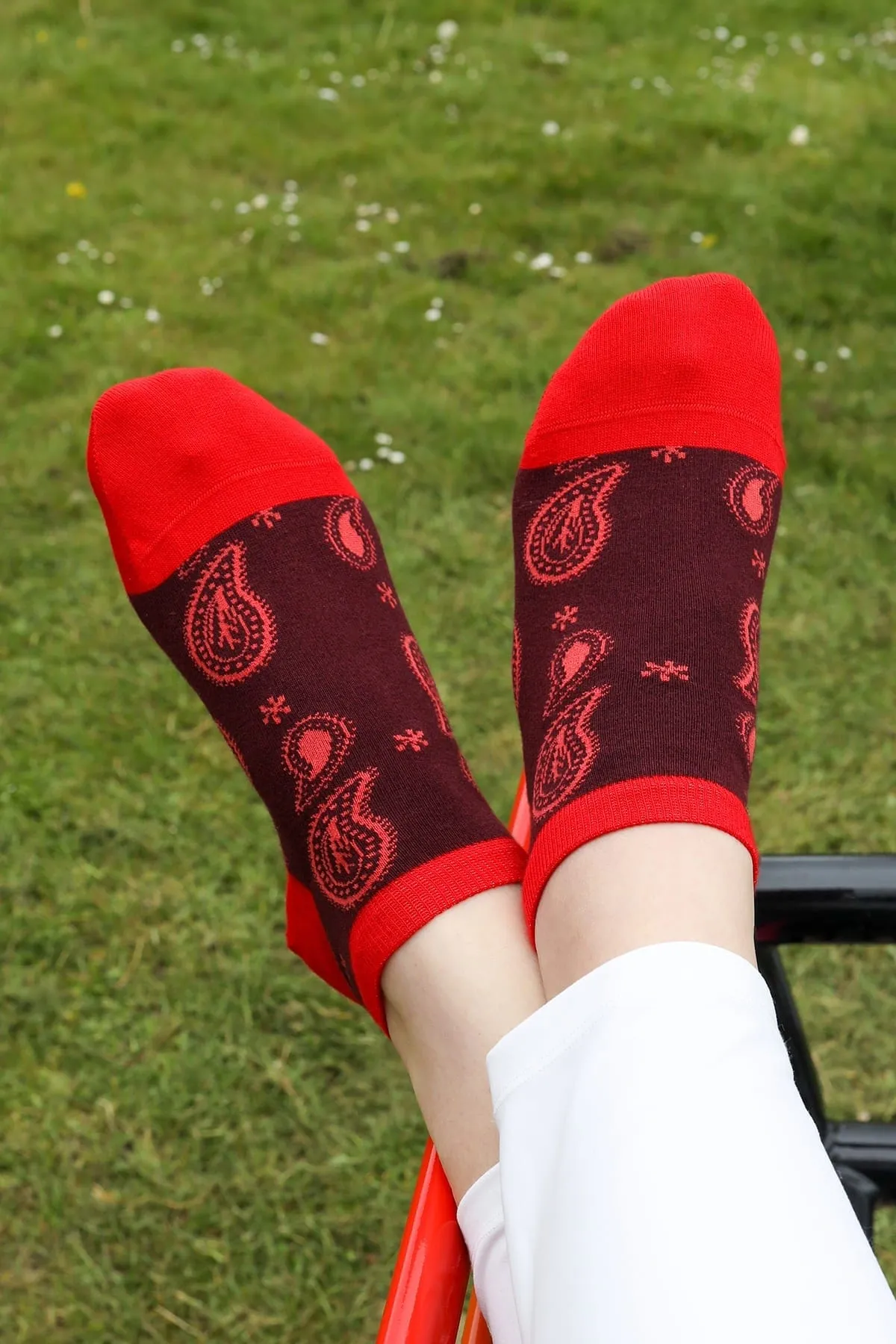 Paisley Women's Organic Cotton Trainer Socks | Burgundy