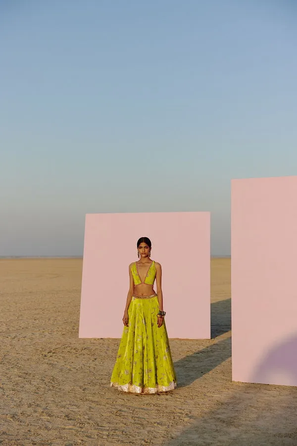 Raji Ramniq   I   Lime Printed Silk Velvet Lahenga Set Dupatta We-108