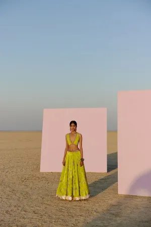 Raji Ramniq   I   Lime Printed Silk Velvet Lahenga Set Dupatta We-108