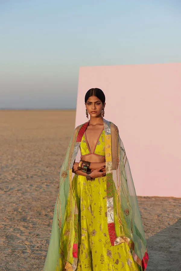 Raji Ramniq   I   Lime Printed Silk Velvet Lahenga Set Dupatta We-108