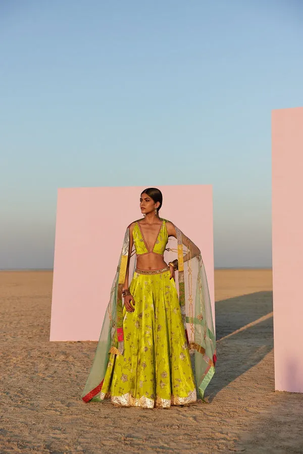 Raji Ramniq   I   Lime Printed Silk Velvet Lahenga Set Dupatta We-108