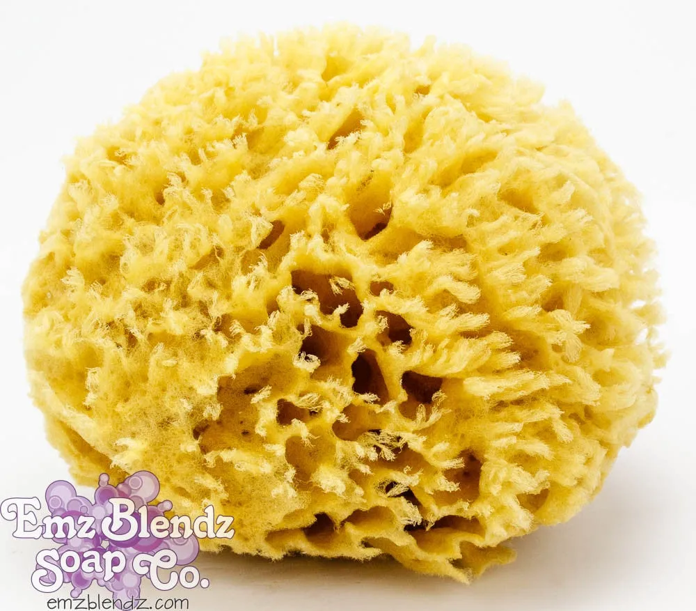 Sea Wool Sponge | Natural & Sustainable Luxury