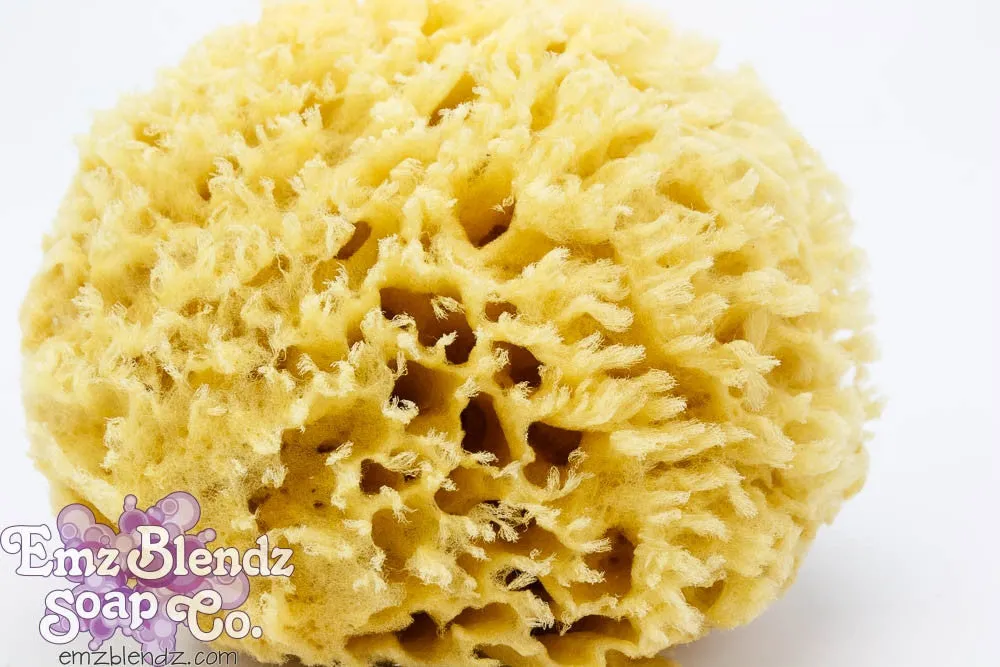 Sea Wool Sponge | Natural & Sustainable Luxury