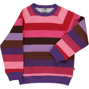 Sweatshirt With Stripes & Front Pocket - Purple Heart - 1 Left Size 3-4 years
